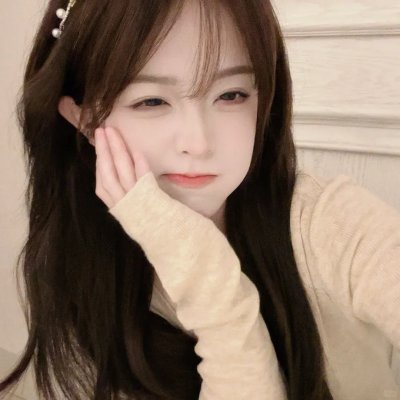 竞选伙伴